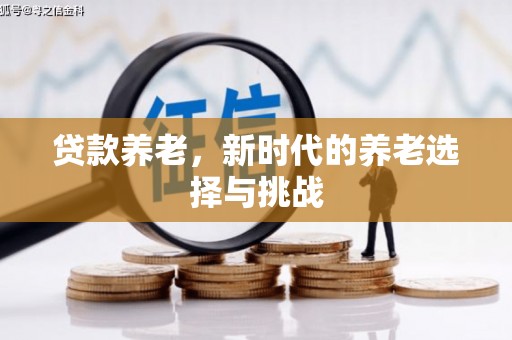 疏附贷款养老，新时代的养老选择与挑战