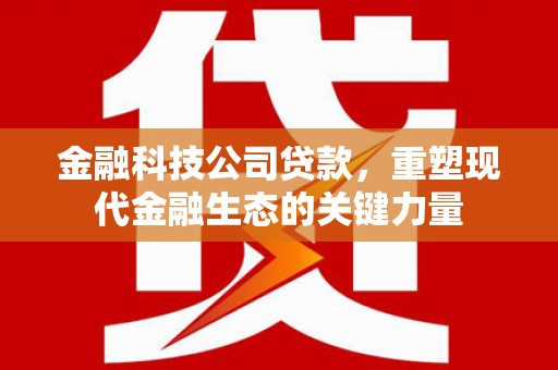疏附金融科技公司贷款，重塑现代金融生态的关键力量