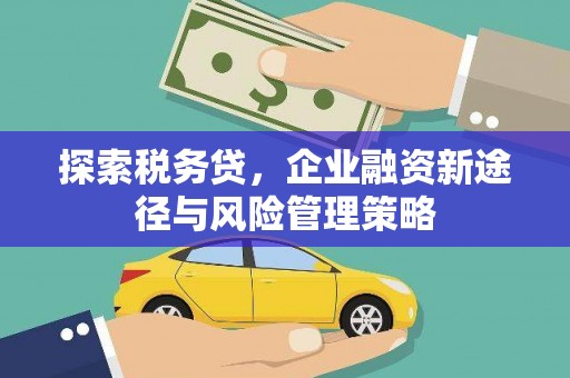 疏附探索税务贷，企业融资新途径与风险管理策略