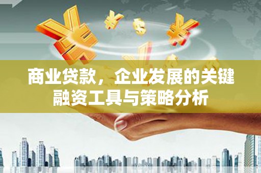疏附商业贷款，企业发展的关键融资工具与策略分析