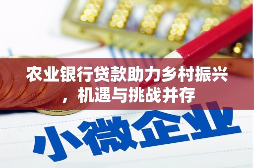疏附农业银行贷款助力乡村振兴，机遇与挑战并存