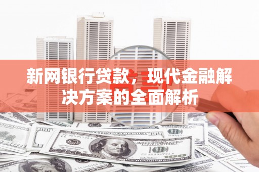 疏附新网银行贷款，现代金融解决方案的全面解析