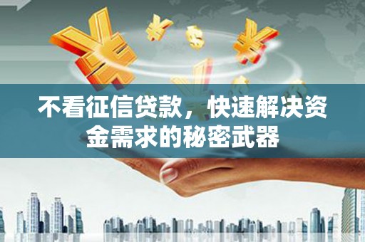 疏附不看征信贷款，快速解决资金需求的秘密武器