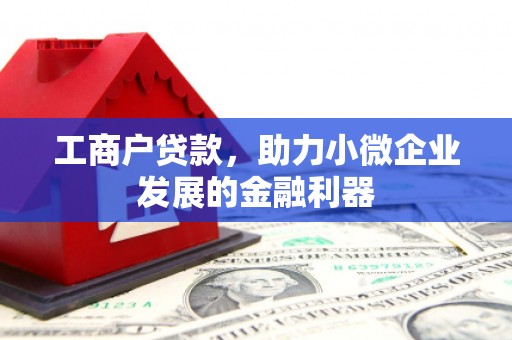 疏附工商户贷款，助力小微企业发展的金融利器