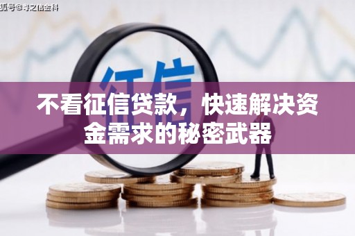 疏附不看征信贷款，快速解决资金需求的秘密武器