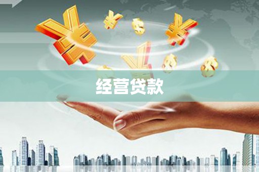 疏附经营贷款