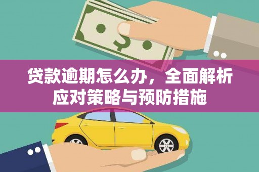 疏附贷款逾期怎么办，全面解析应对策略与预防措施