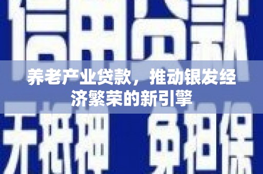 疏附养老产业贷款，推动银发经济繁荣的新引擎