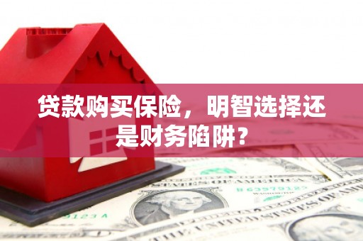 疏附贷款购买保险，明智选择还是财务陷阱？
