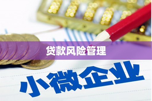 疏附贷款风险管理
