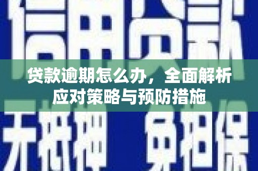 疏附贷款逾期怎么办，全面解析应对策略与预防措施