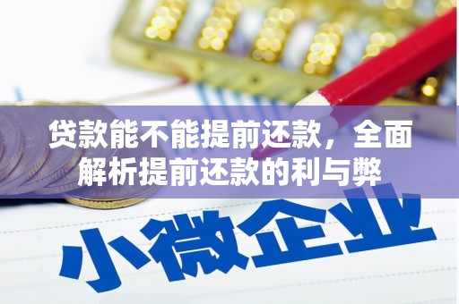 疏附贷款能不能提前还款，全面解析提前还款的利与弊