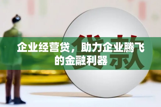 疏附企业经营贷，助力企业腾飞的金融利器
