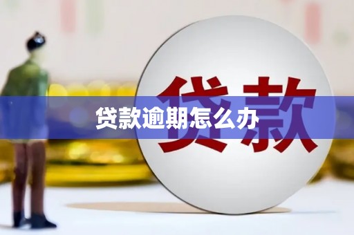 疏附贷款逾期怎么办