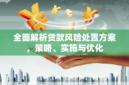 疏附全面解析贷款风险处置方案，策略、实施与优化