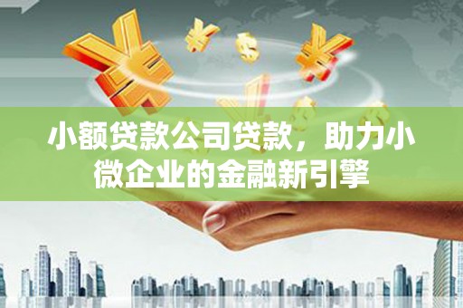 疏附小额贷款公司贷款，助力小微企业的金融新引擎