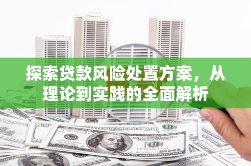疏附探索贷款风险处置方案，从理论到实践的全面解析