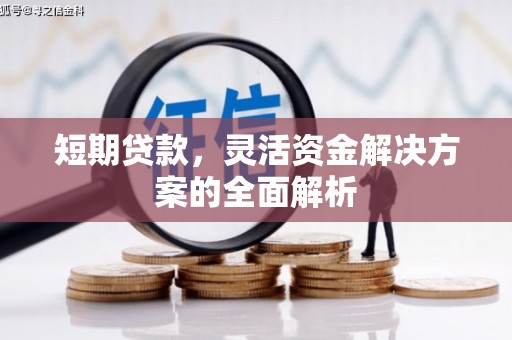 疏附短期贷款，灵活资金解决方案的全面解析