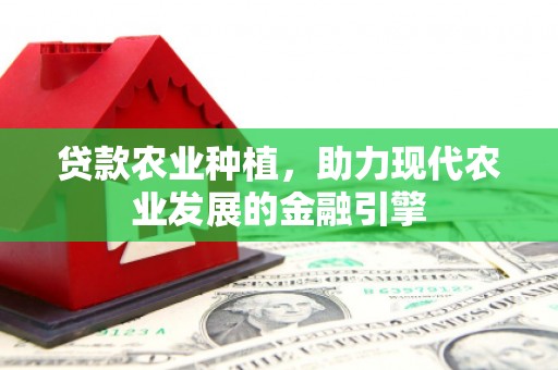 疏附贷款农业种植，助力现代农业发展的金融引擎