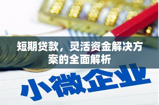 疏附短期贷款，灵活资金解决方案的全面解析