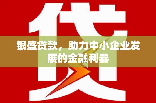 疏附银盛贷款，助力中小企业发展的金融利器