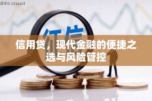 疏附信用贷，现代金融的便捷之选与风险管控