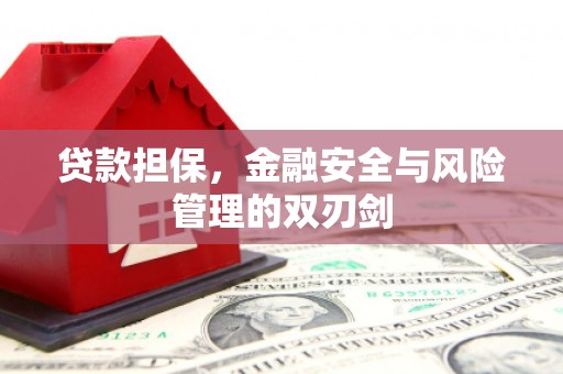 疏附贷款担保，金融安全与风险管理的双刃剑