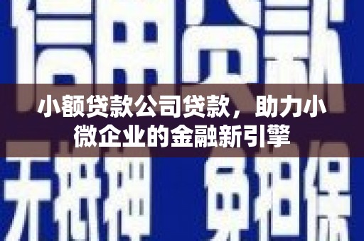 疏附小额贷款公司贷款，助力小微企业的金融新引擎