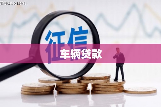 疏附车辆贷款