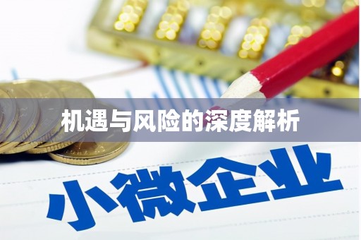 疏附机遇与风险的深度解析