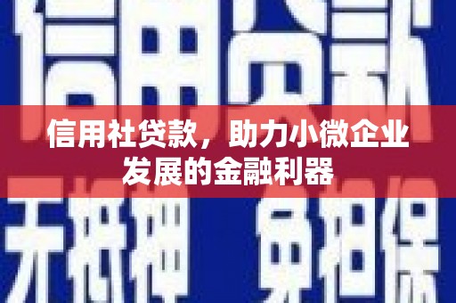 疏附信用社贷款，助力小微企业发展的金融利器