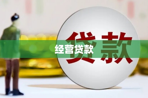 疏附经营贷款