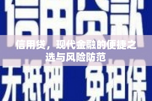 疏附信用贷，现代金融的便捷之选与风险防范