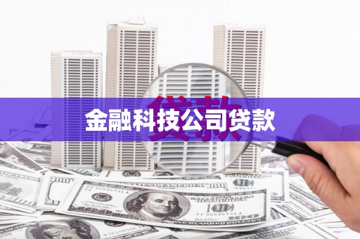疏附金融科技公司贷款