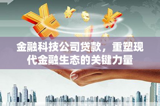 疏附金融科技公司贷款，重塑现代金融生态的关键力量