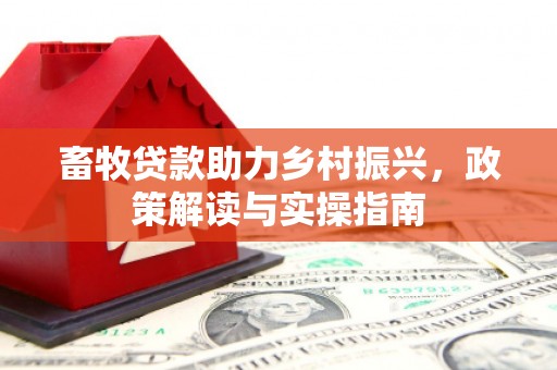 疏附畜牧贷款助力乡村振兴，政策解读与实操指南