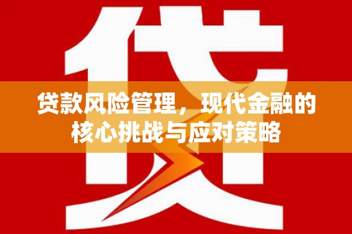 疏附贷款风险管理，现代金融的核心挑战与应对策略
