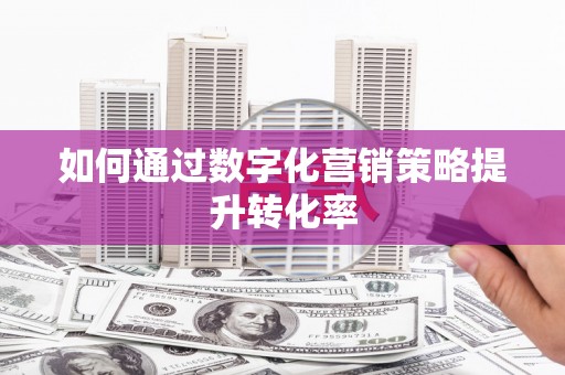 疏附如何通过数字化营销策略提升转化率