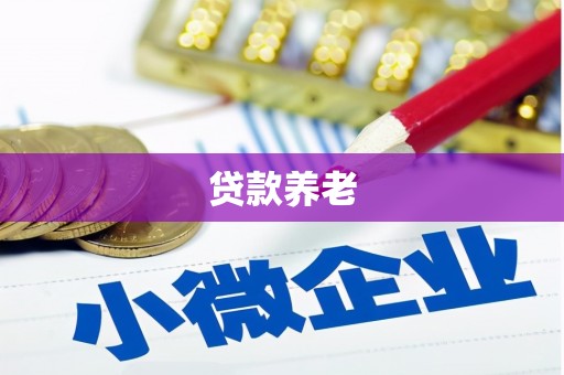 疏附贷款养老
