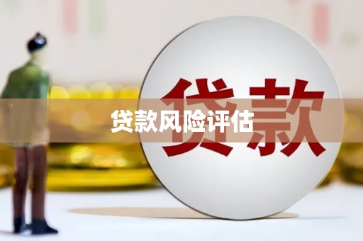 疏附贷款风险评估