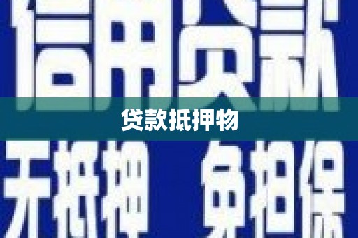疏附贷款抵押物
