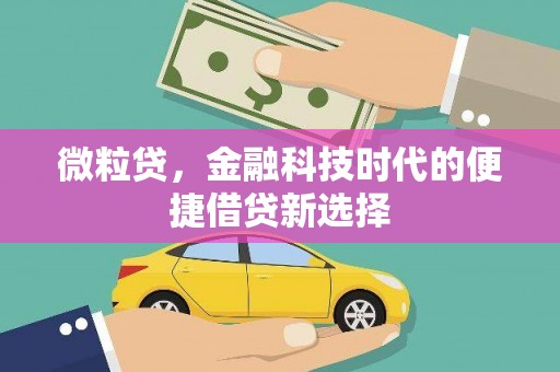疏附微粒贷，金融科技时代的便捷借贷新选择
