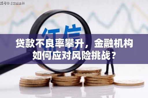 疏附贷款不良率攀升，金融机构如何应对风险挑战？