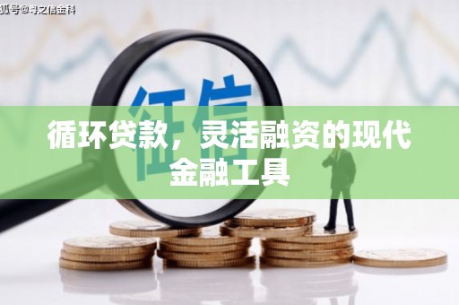 疏附循环贷款，灵活融资的现代金融工具