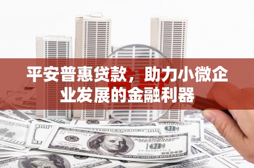 疏附平安普惠贷款，助力小微企业发展的金融利器