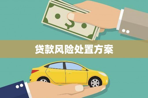 疏附贷款风险处置方案