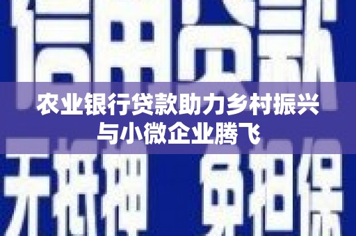 疏附农业银行贷款助力乡村振兴与小微企业腾飞