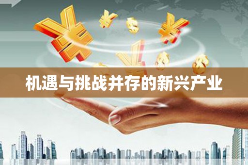 疏附机遇与挑战并存的新兴产业