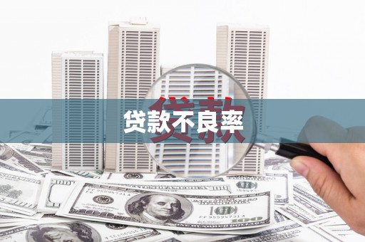 疏附贷款不良率