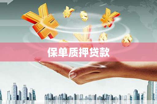 疏附保单质押贷款